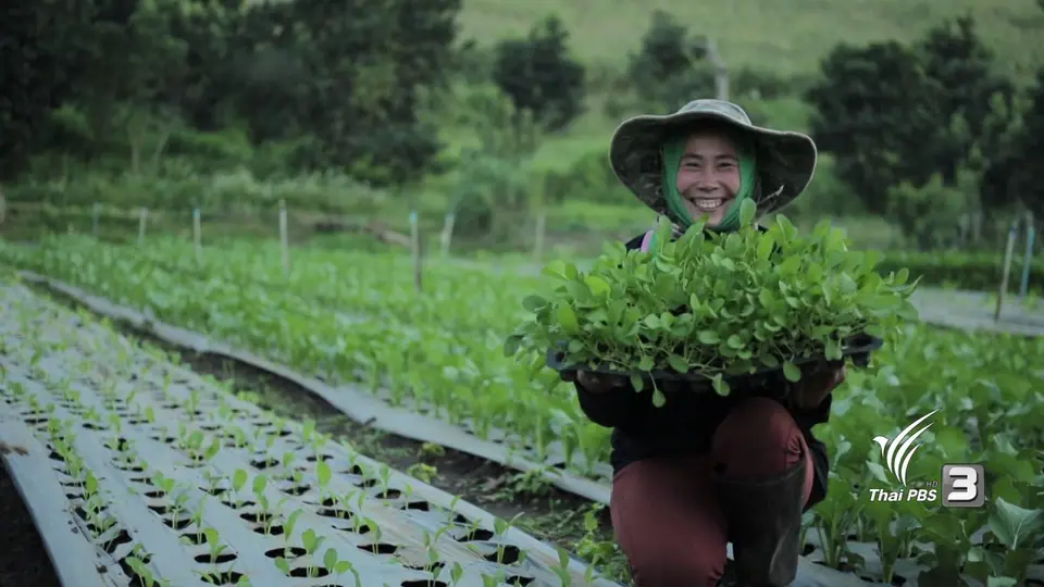 หางดง – สะเมิง เส้นทางแห่งความสุข จ.เชียงใหม่