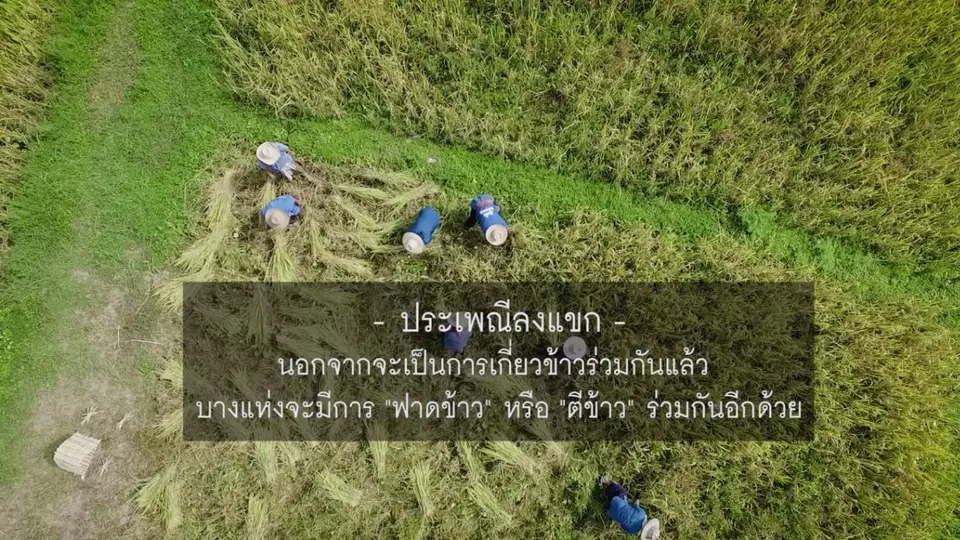 ลงแขก