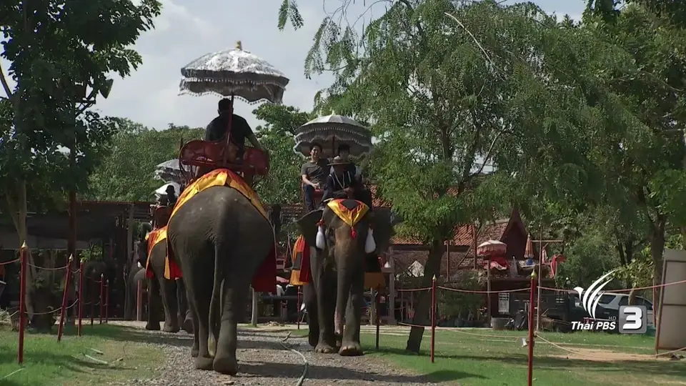 ช้างของพระราชา