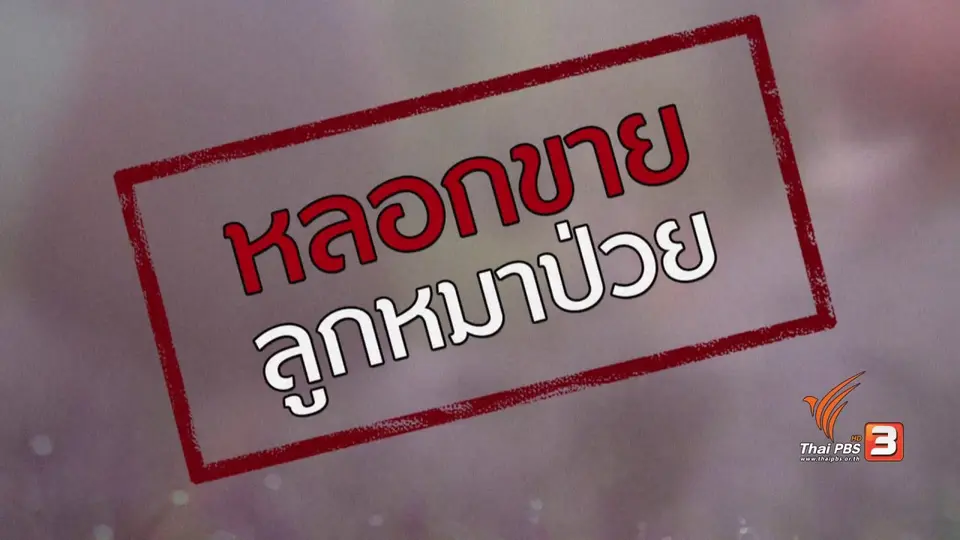ภัยรอบตัว : หลอกขายลูกหมาป่วย