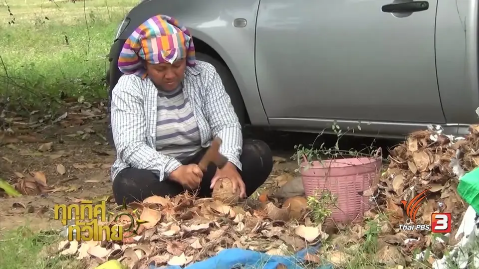 ประเด็นข่าว (3 ก.พ. 60)