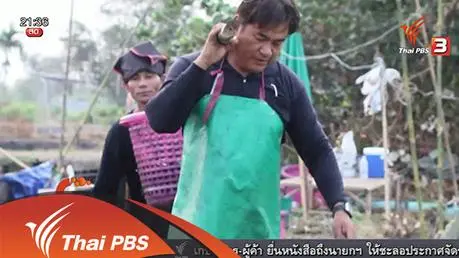 นักข่าวพลเมือง : การป้องกันความเสียหายเนื่องจากน้ำในคลองเริ่มแห้ง