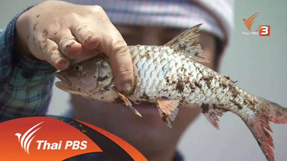 ประเด็นข่าว (25 เม.ย. 59)