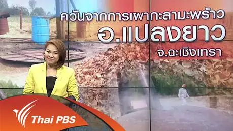วันจากการเผากะลามะพร้าว อ.แปลงยาว จ.ฉะเชิงเทรา