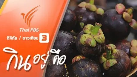 มังคุด ราชินีผลไม้หน้าร้อน