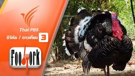ไก่งวง