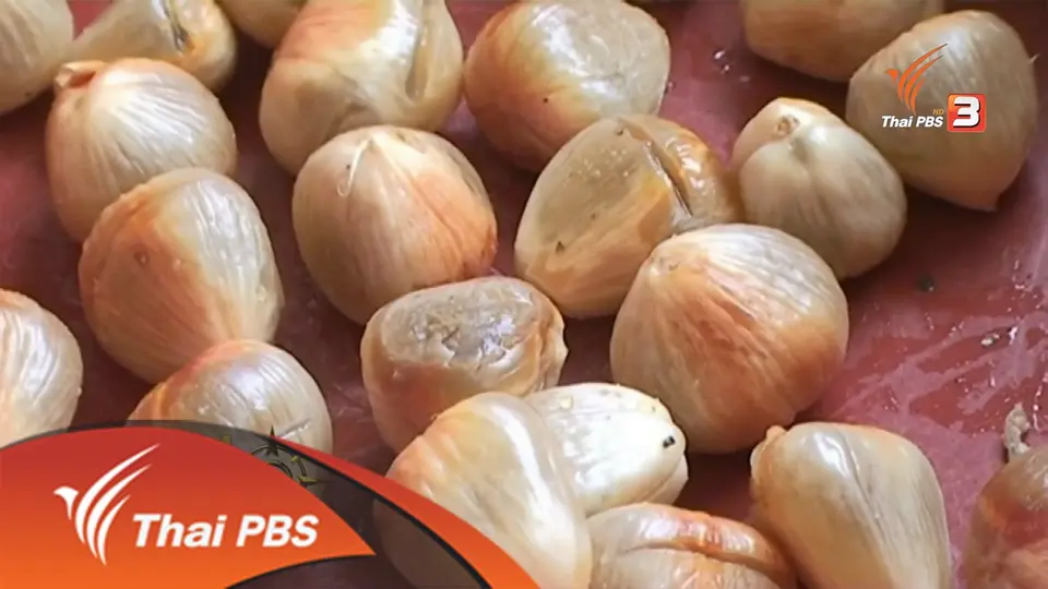 ประเด็นข่าว (1 มิ.ย. 59)