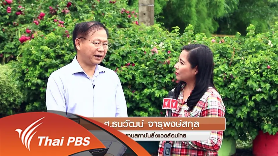 โรงเรียนไม้ไผ่ลดโลกร้อน