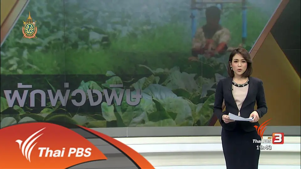 ผักพ่วงพิษ