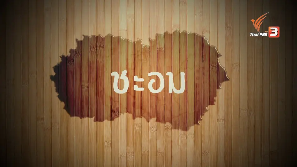 อาหารเป็นยา : ชะอม