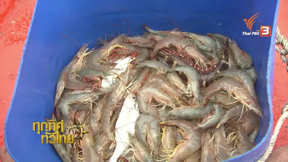 วิถีทั่วไทย : อาหารพื้นบ้านจานเด็ดจากกุ้งแชบ๊วย จ.จันทบุรี