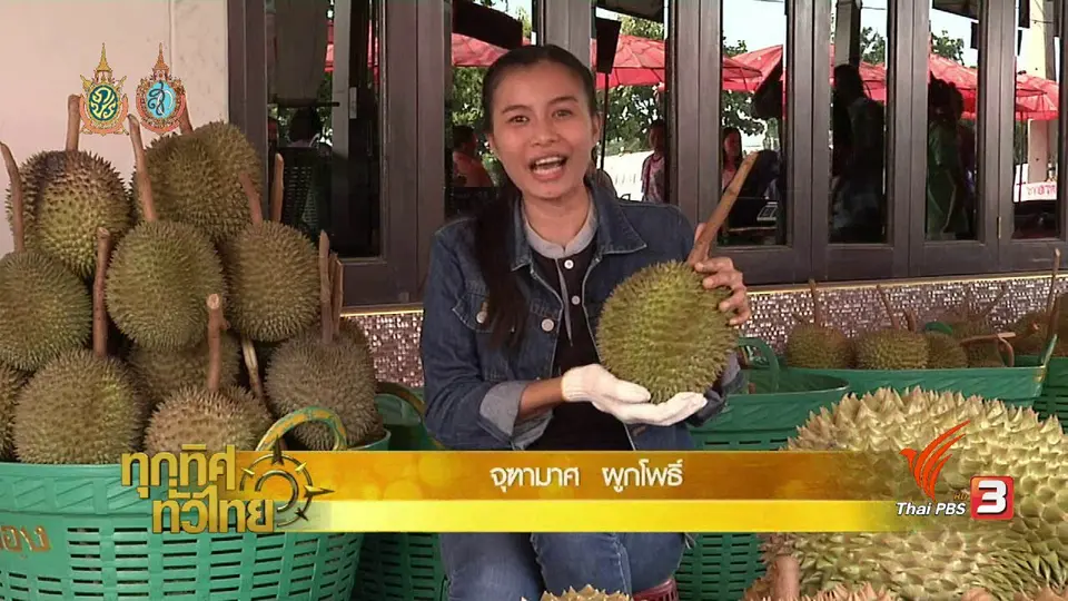 ประเด็นข่าว (13 ก.ย. 59)