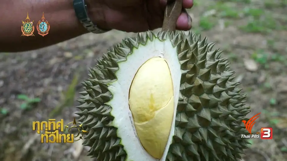 ประเด็นข่าว (15 ก.ย. 59)