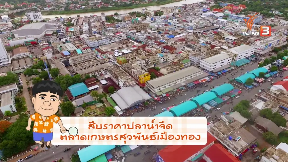 สายสืบเจาะตลาด : สำรวจราคาปลา ที่ตลาดสุวพันธ์เมืองทอง จ.อ่างทอง