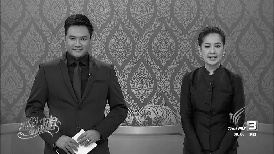 “โคนม” อาชีพพระราชทาน, กำปั้นไทย...หมัดนี้เพื่อพ่อ