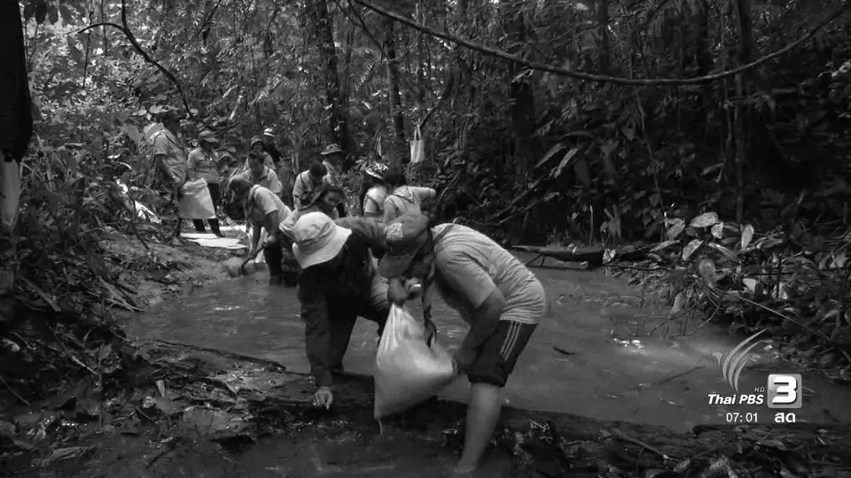 สร้างฝายชะลอน้ำเทิดพระเกียรติในหลวง