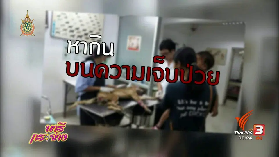 ภัยร้ายรอบตัว : หลอกบริจาคให้หมาแมว