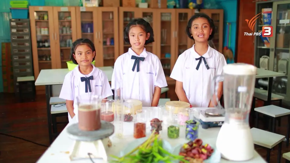 ช่วงทดลองโครงการ : สบู่กระดาษสมุนไพร