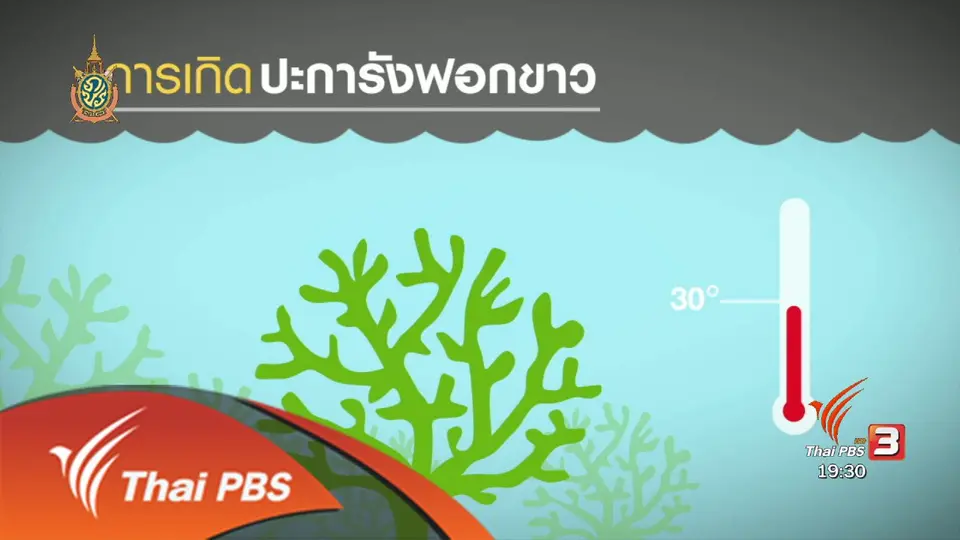วิกฤตปะการังฟอกขาว