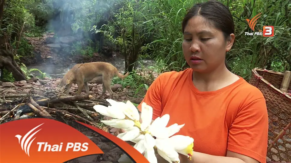 ตะลุยทั่วไทย : 13 มิ.ย. 59