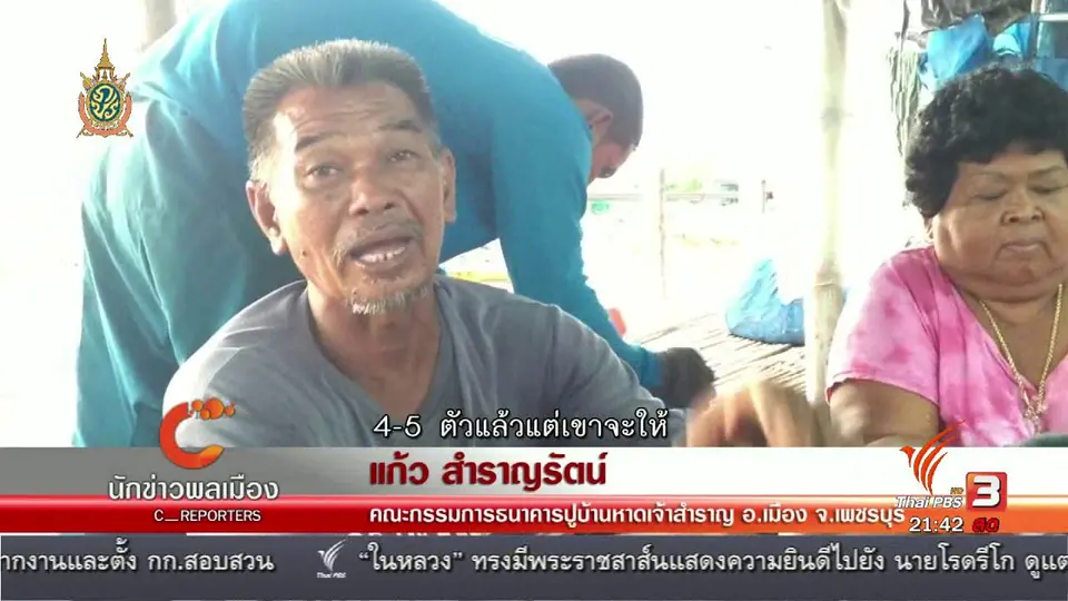 นักข่าวพลเมือง : ธนาคารปูบ้านหาดเจ้าสำราญ อ.เมือง จ.เพชรบุรี