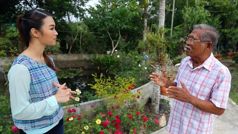รักษาภูมิคุ้มกันด้วยตำรับยาสมุนไพร, พิลาทิสขาสวย ลดเซลลูไลท์