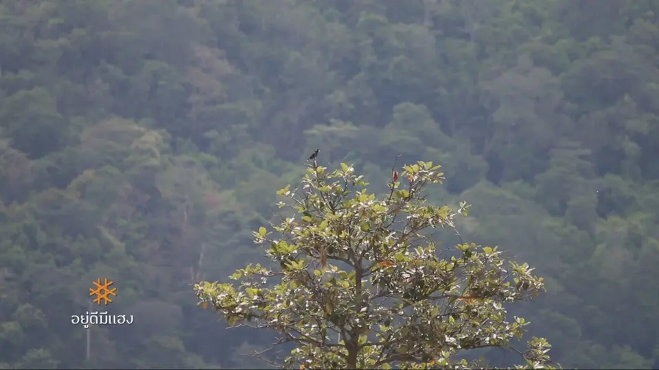 "นาอุดม" สมบูรณ์, ฟื้นชีวิตเหมือง คืนชีวิตคน, SUPRADO SKATEBOARD