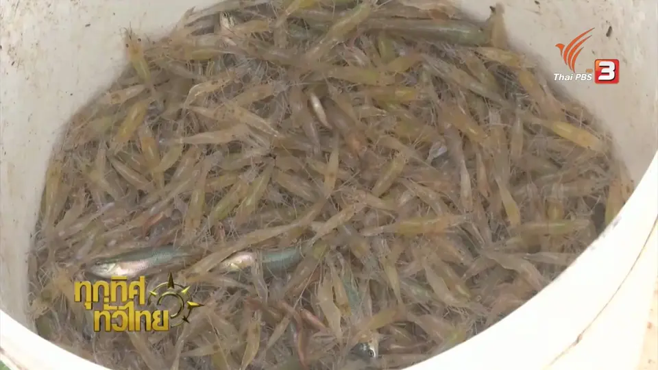 ประเด็นข่าว (1 ส.ค. 59)