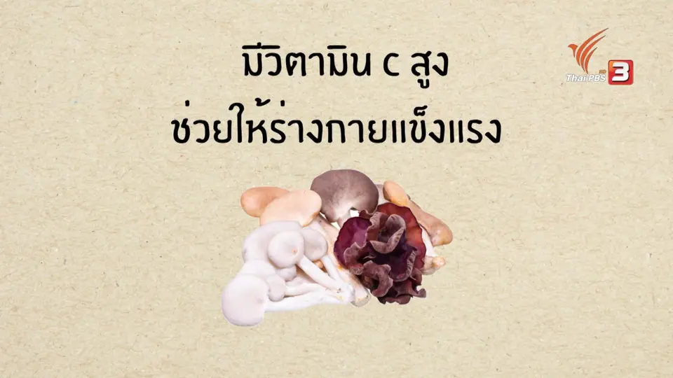 สกู๊ป อาหารเป็นยา : เห็ด