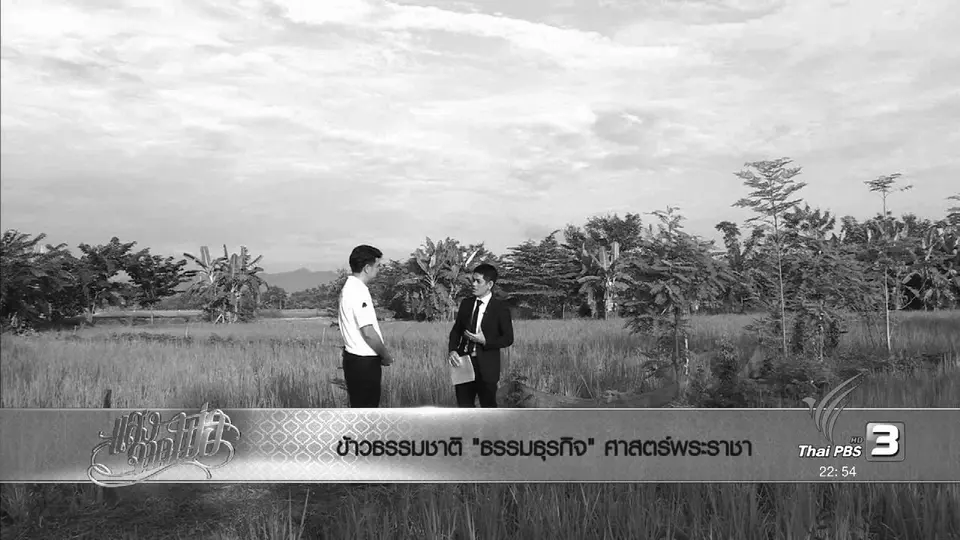 ข้าวธรรมชาติ "ธรรมธุรกิจ" ศาสตร์พระราชา