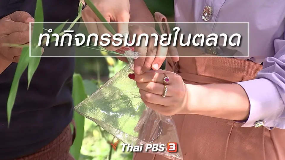 นารีสนทนา : ทำกิจกรรมภายในตลาด
