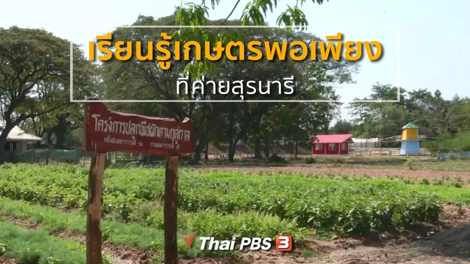 ชุมชนทั่วไทย : เรียนรู้เกษตรพอเพียงที่ค่ายสุรนารี