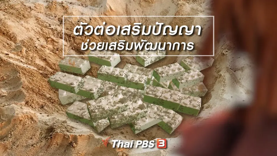 ​เกร็ดน่ารู้กับตาต้าตีตี้โตโต้ : ตัวต่อเสริมปัญญาช่วยเสริมพัฒนาการ