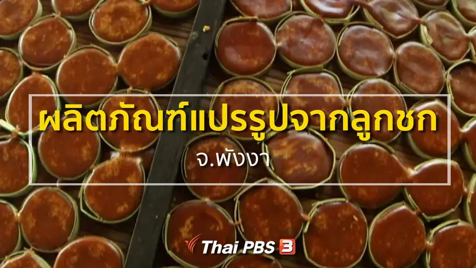 ชุมชนทั่วไทย  ผลิตภัณฑ์แปรรูปจากลูกชก จ.พังงา