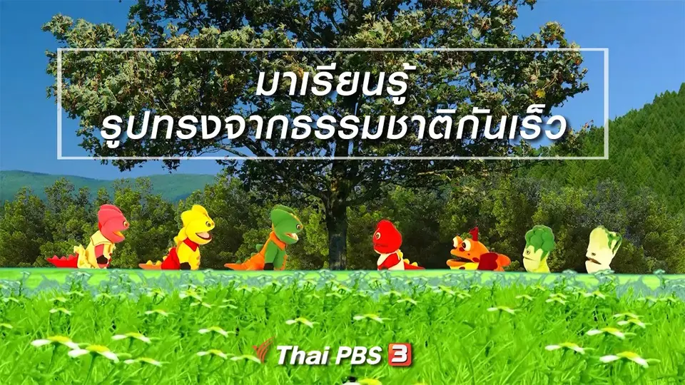 เกร็ดน่ารู้กับตาต้าตีตี้โตโต้ : มาเรียนรู้รูปทรงจากธรรมชาติกันเร็ว