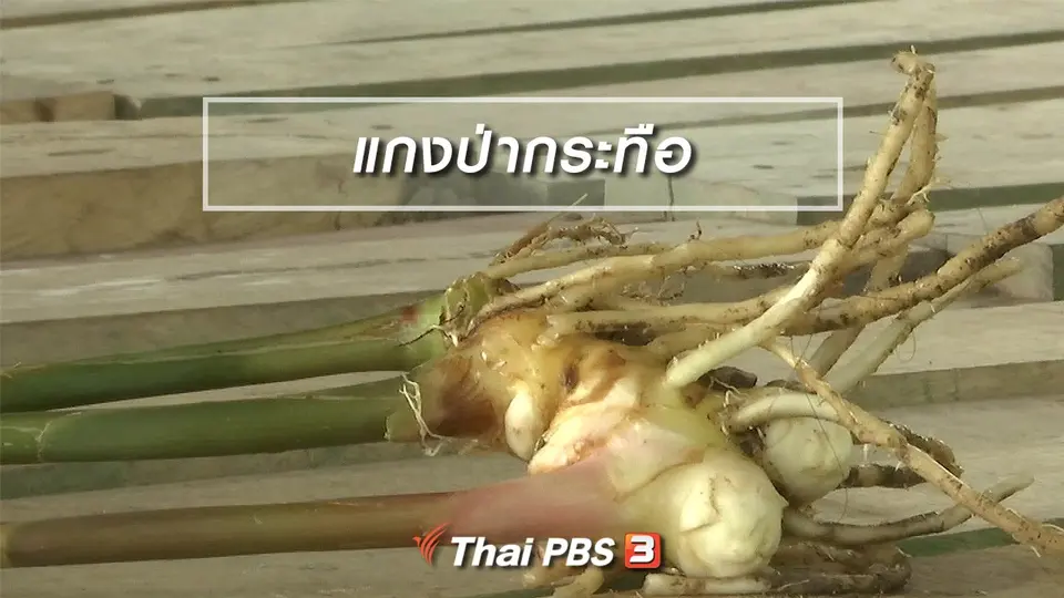 ตะลุยทั่วไทย : แกงป่ากระทือ