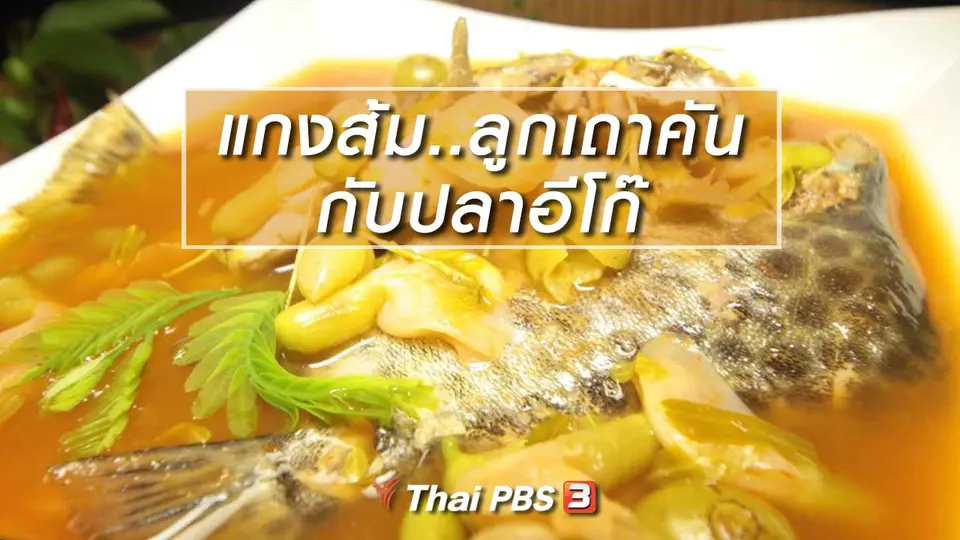 สูตรอาหารพื้นบ้าน : แกงส้ม..ลูกเถาคัน กับปลาอีโก๊