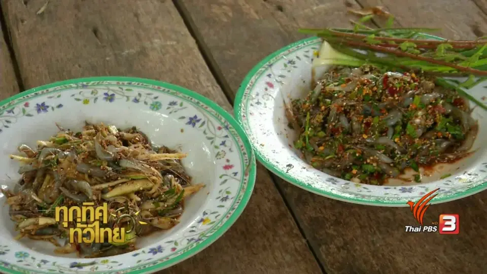 วิถีทั่วไทย : อุปกรณ์จับกุ้งฝอยน้ำโขง