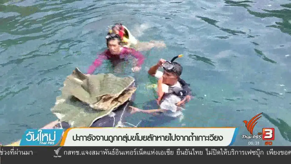 ปะการังจานถูกกลุ่มขโมยลักหายไปจากถ้ำเกาะเวียง