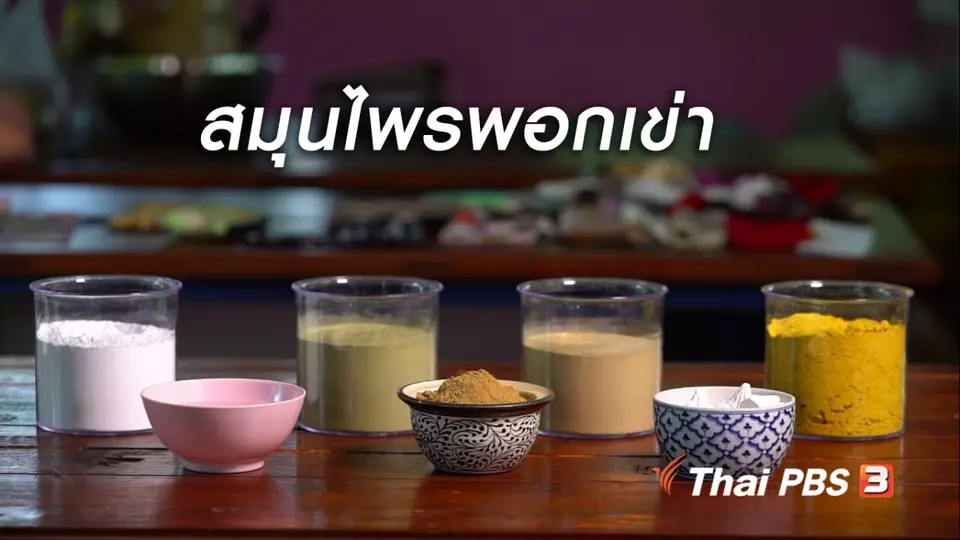 ห้องเรียนสูงวัย : สมุนไพรพอกเข่าบรรเทาปวด