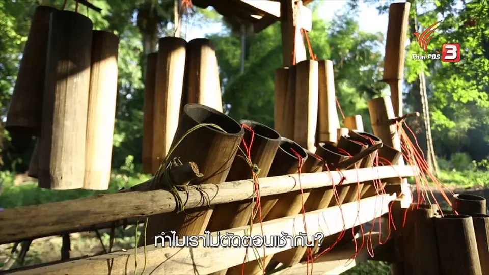 เรียนรู้วิถีไทย : ตาลโตนด