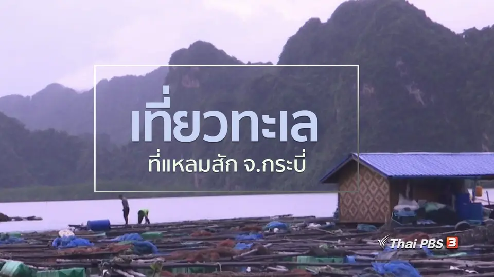 ชุมชนทั่วไทย : นั่งเรือเที่ยวทะเลที่แหลมสัก