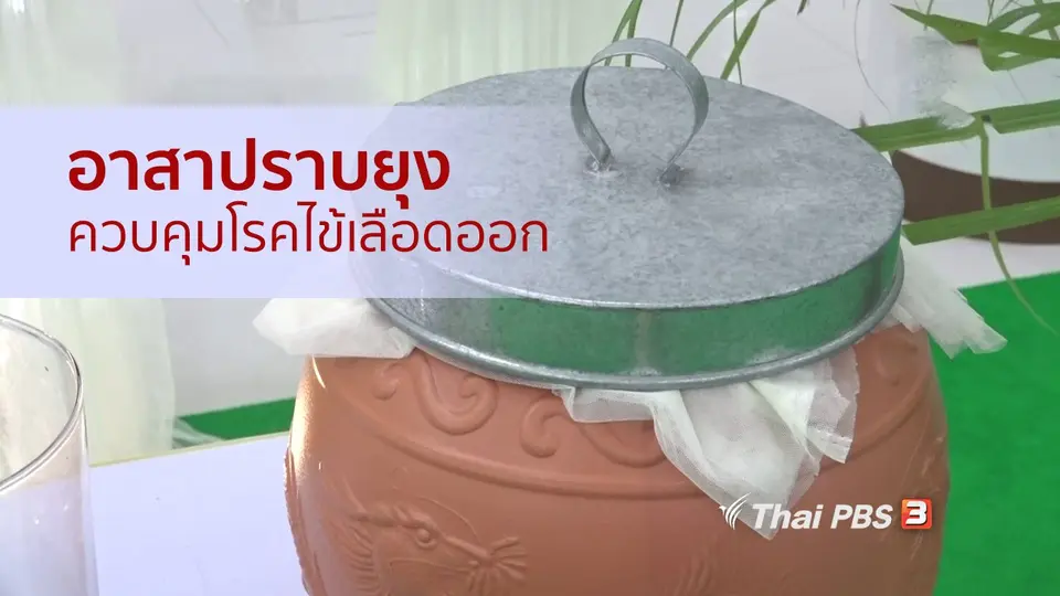รู้สู้โรค : อาสาปราบยุง ควบคุมโรคไข้เลือดออก