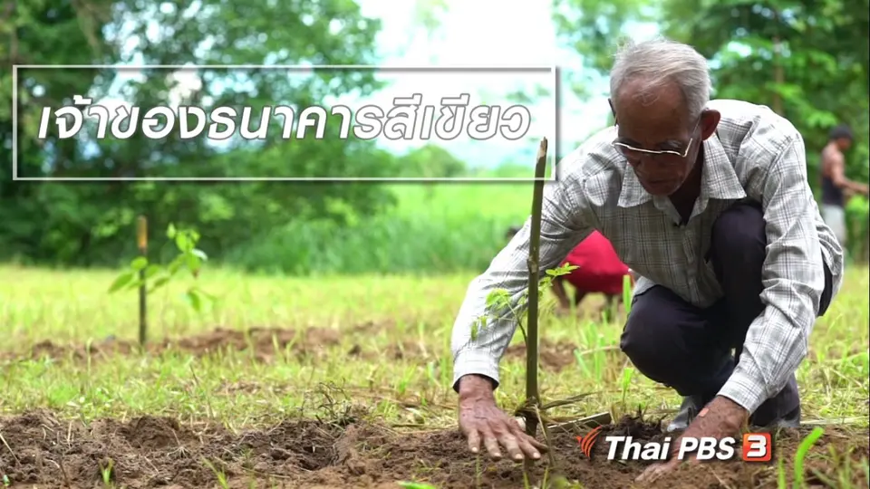 สูงวัยไทยแลนด์ : เจ้าของธนาคารสีเขียว