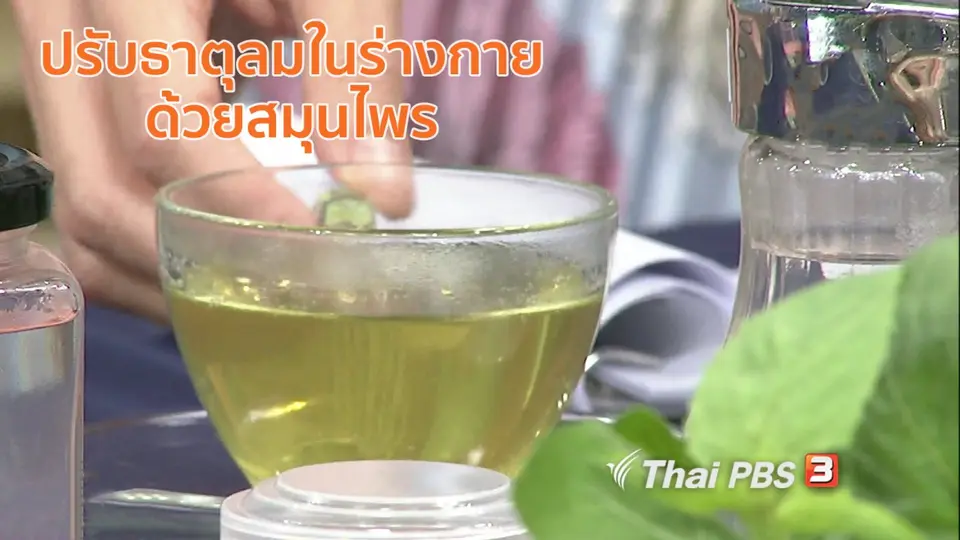 นารีสนทนา : ปรับธาตุลมในร่างกายด้วยสมุนไพร เพื่อสุขภาพดีในฤดูฝน