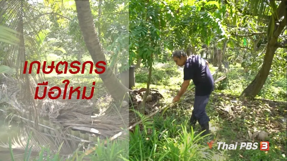 สูงวัยไทยแลนด์ : เกษตรกรมือใหม่