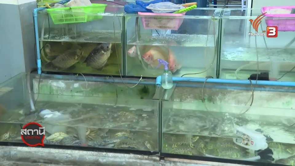 สถานีร้องเรียน : COVID-19 กระทบร้านอาหารทะเล
