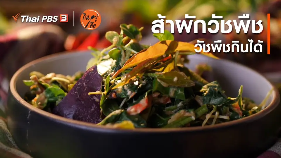 ​สูตรลับออนไลน์ : ส้าผักวัชพืช