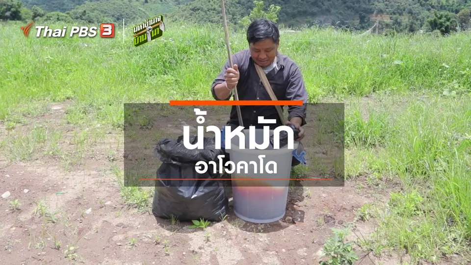 ​สูตรลับฉบับบ้านนา : น้ำหมักอาโวคาโด