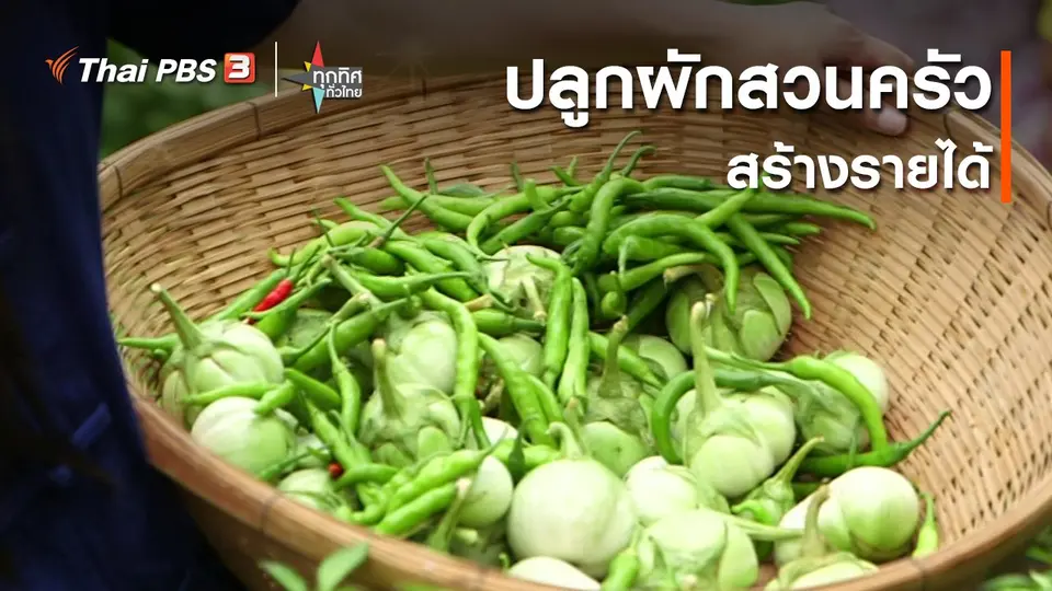 ปลูกผักสวนครัวสร้างรายได้
